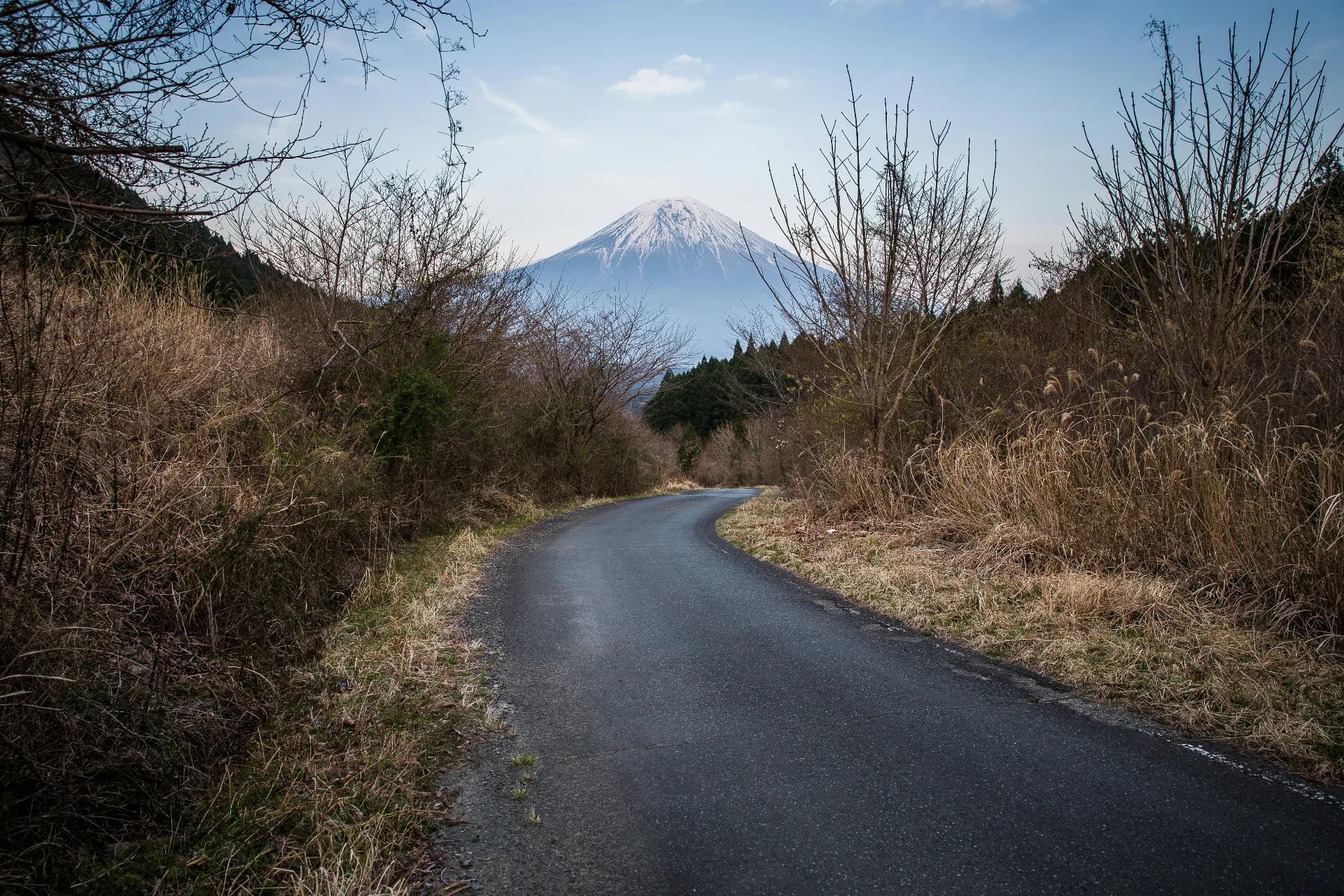 Going All In on My Own Products